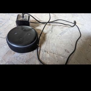 Alexa device
